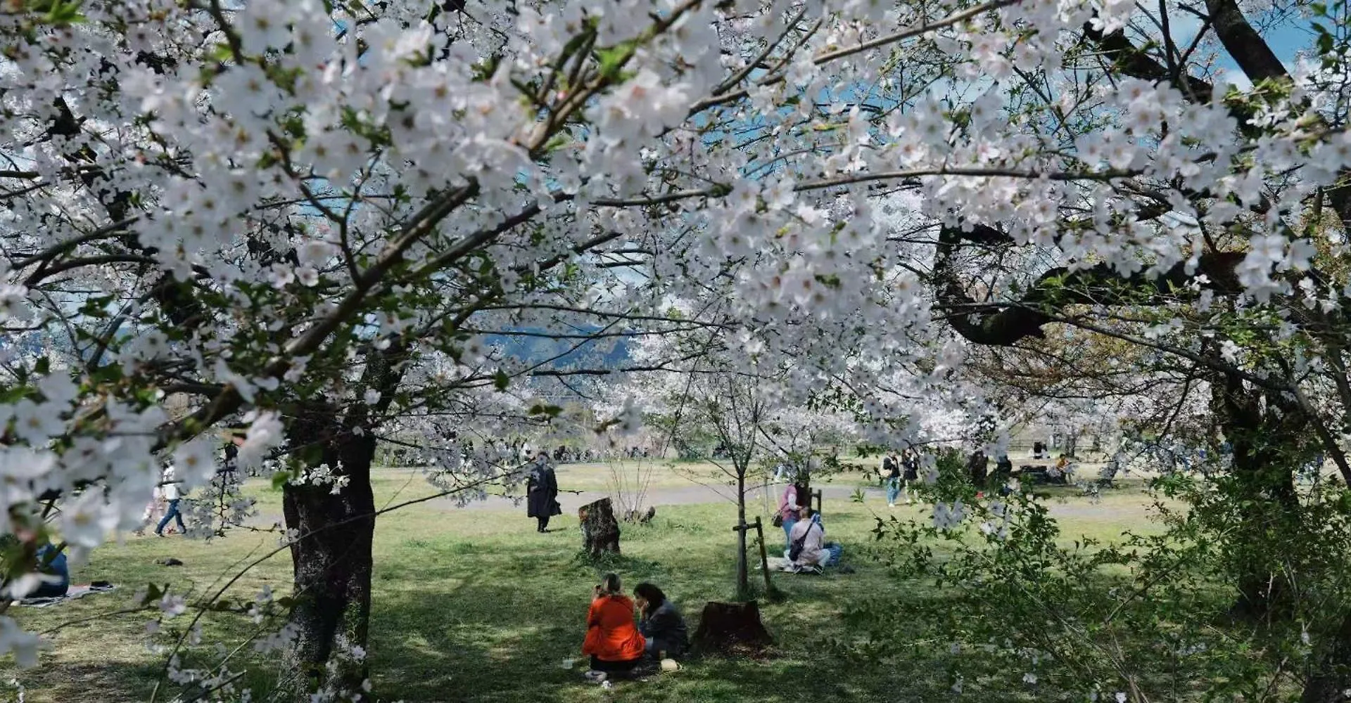 御澍・上京 Villa Kyoto 0*,  Japan